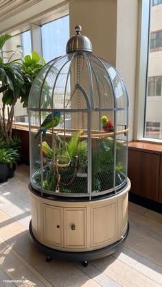 Designing a Joyful and Secure Home for Your Feathered Friend